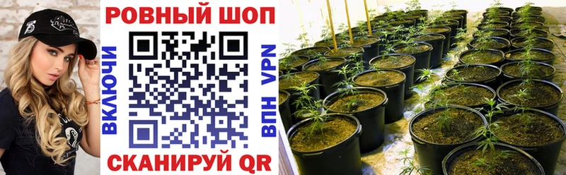 Магазины продажи наркотиков Шилка КЕТАМИН  АМФ  Марихуана  Гашиш  A-PVP  COCAIN 