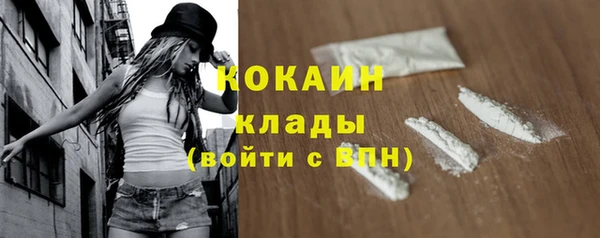 трава Абаза