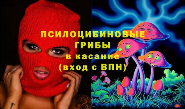 шишки Абинск
