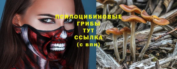 трава Абаза