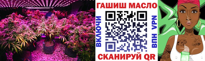 Дистиллят ТГК концентрат  Шилка 
